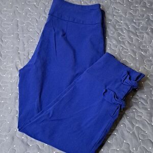 Crown & Ivy blue cropped skinny pull on pants size 2 petite